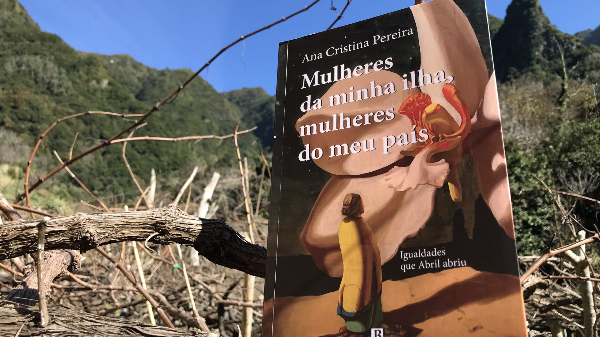 Presentation of the book Mulheres da minha Ilha, Mulheres do Meu País, by Ana Cristina Pereira, by Rosa Monteiro